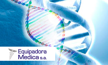 servicios gemda